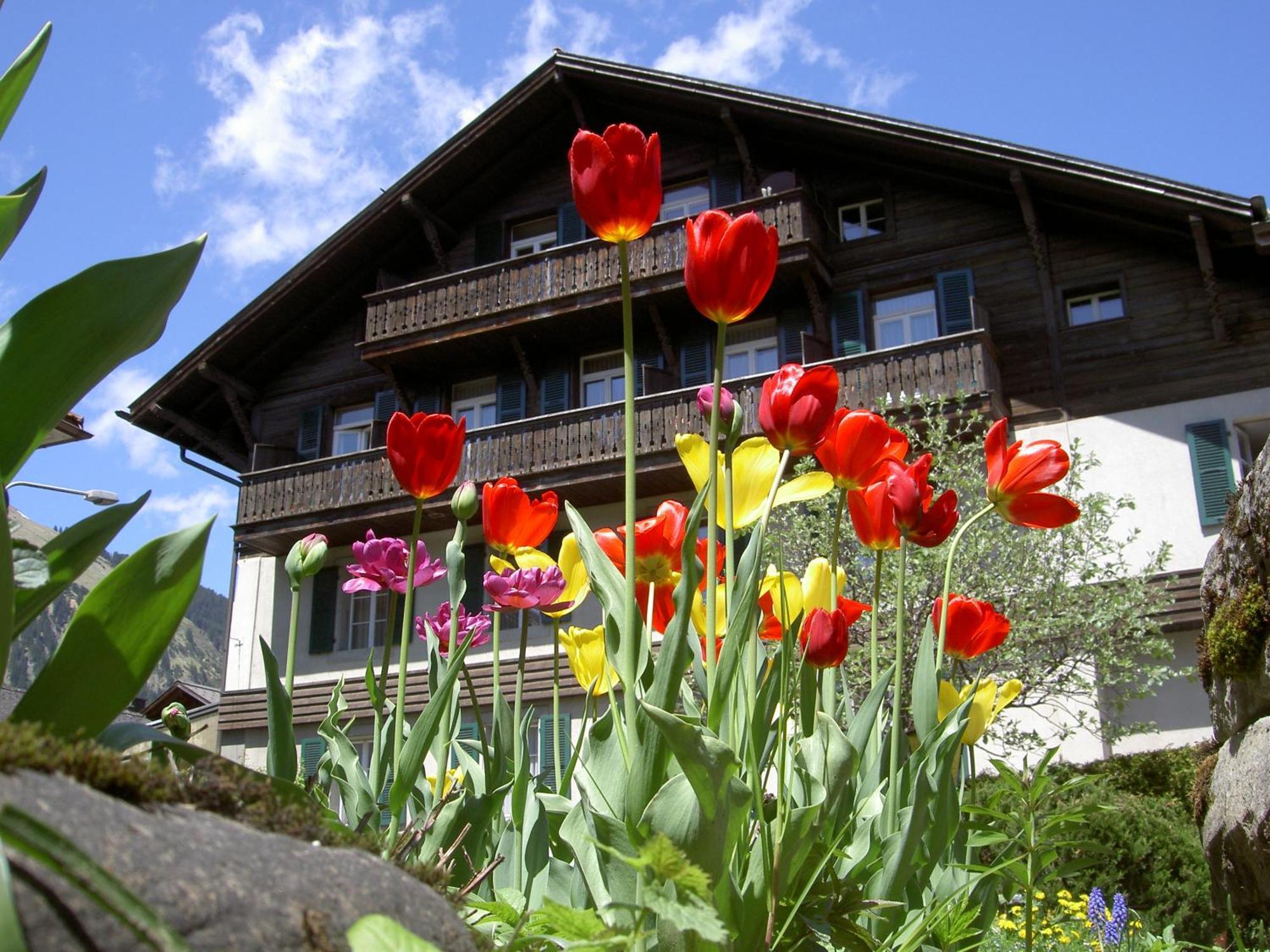 Hotel Sternen Lenk Zewnętrze zdjęcie